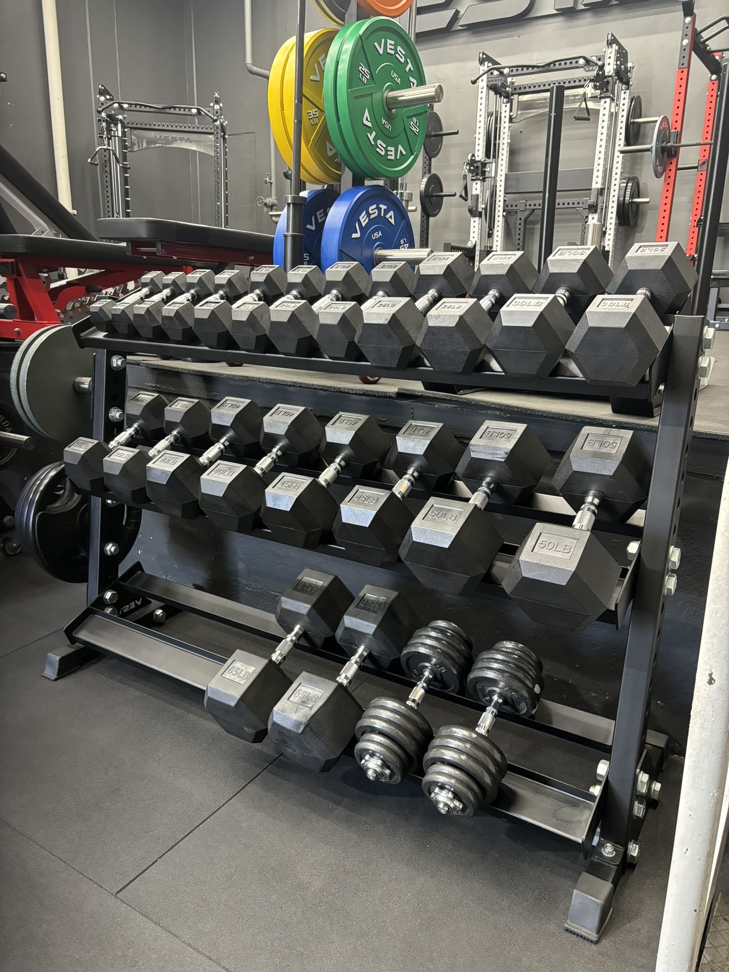 Dumbbell Rack PACKAGE | Dumbbell Pairs 5-50 lb + Dumbbell Rack🔥 Vesta Fitness
