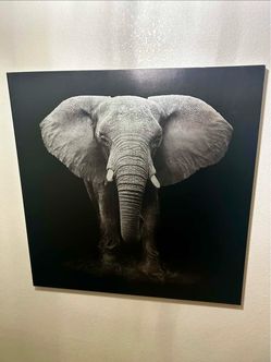 Elephant and tiger wall decor