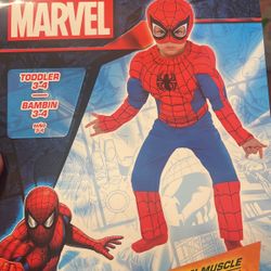 Spider-Man Costume