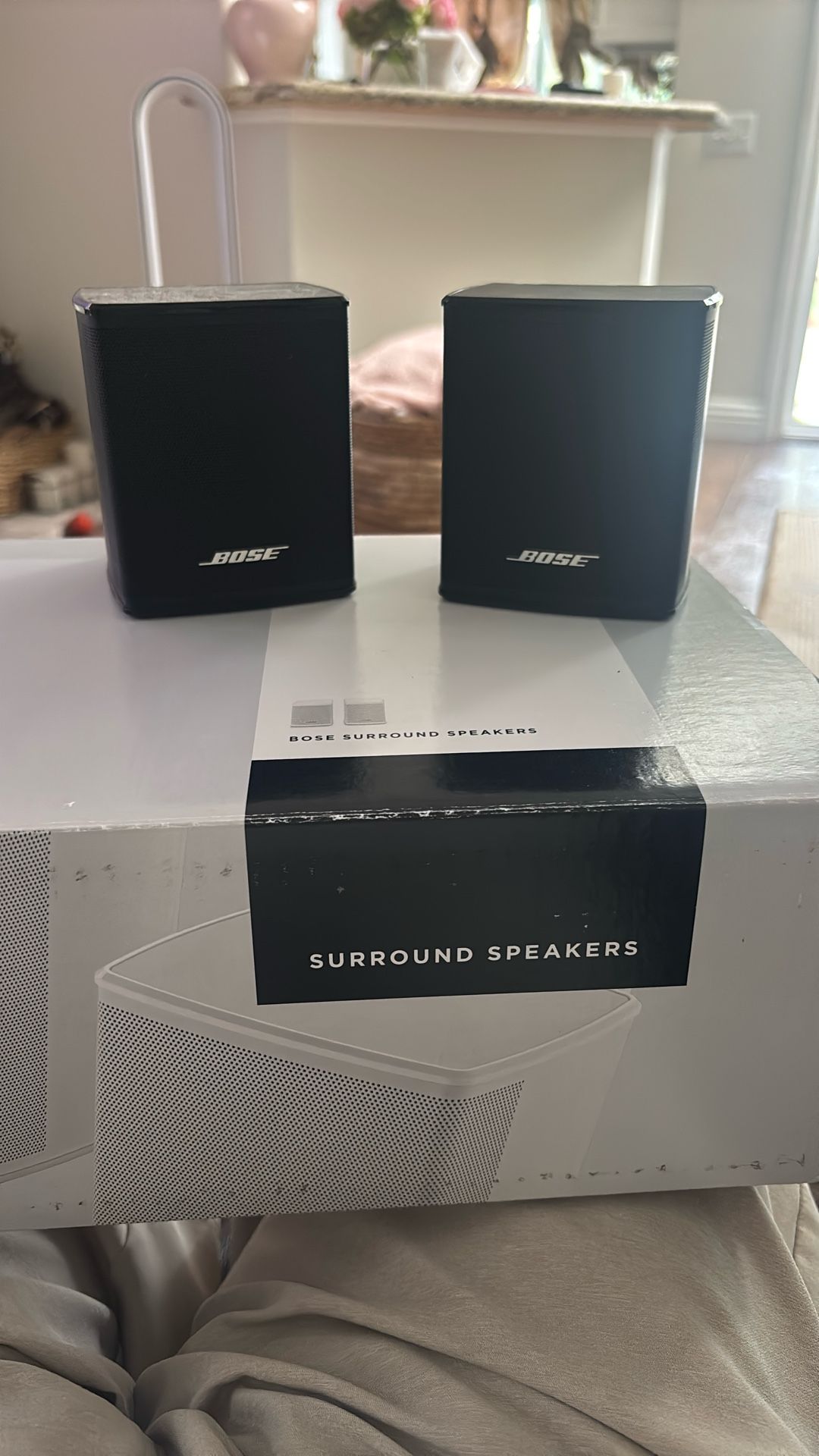 Bose 300 Surround sound