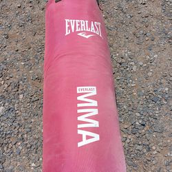 Punching Bag And Gloves $40 Firm!