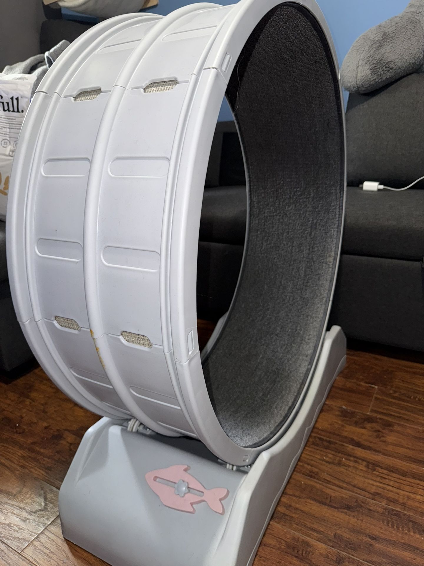 Cat Wheel
