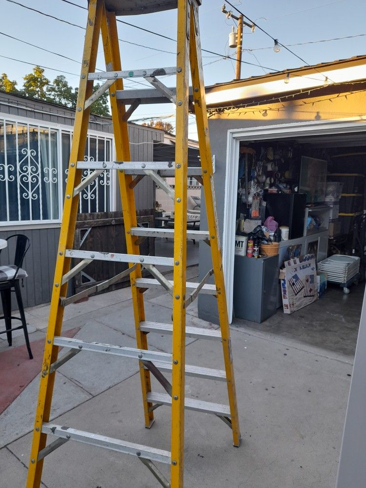 8 Foot Ladder 