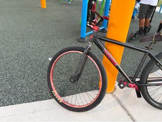 Red rose 29er