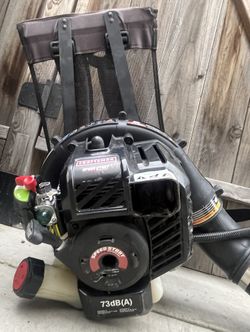 Backpack LeafBlower