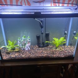 Fish Tank- 29 Gallon
