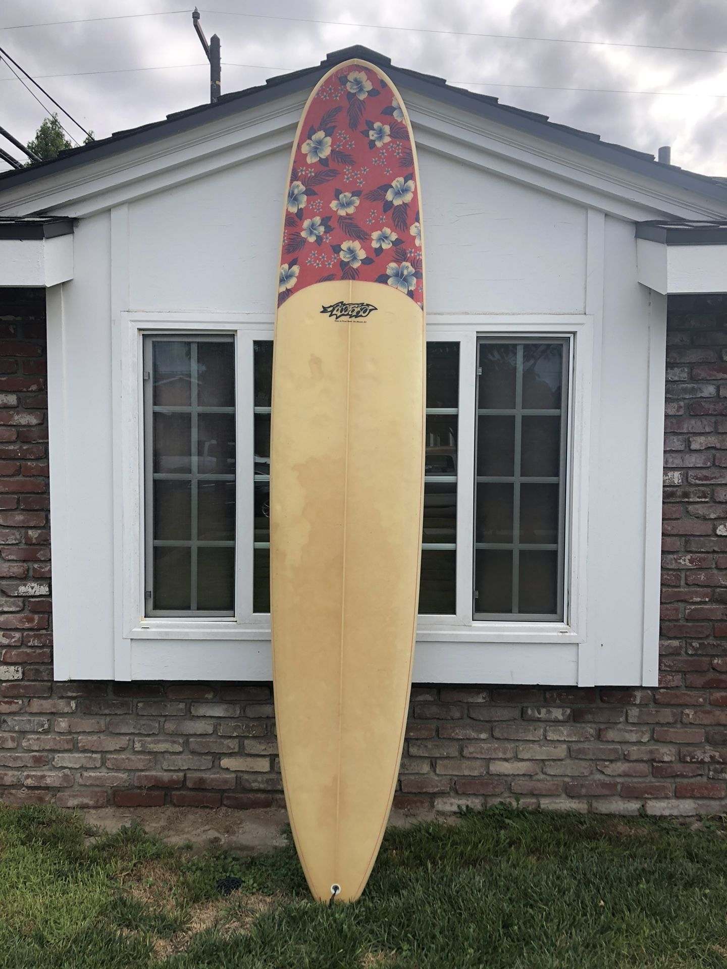 10ft Surfboard 