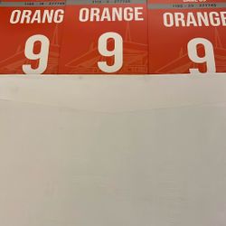 Miami Dolphins vs Tampa Bay 