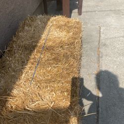 Hay