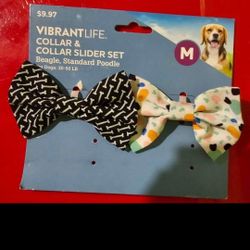 New Dog Bows