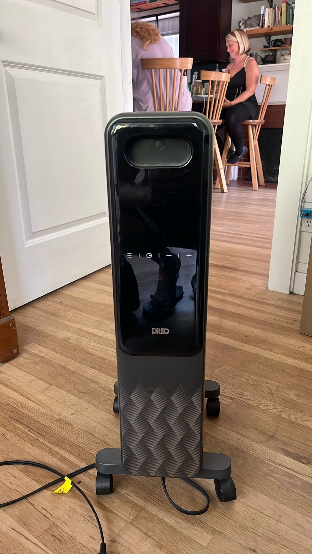 Dreo Oil Filled Radiator