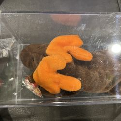 1993 Chocolate Beanie Baby 