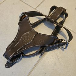 Dog Harness