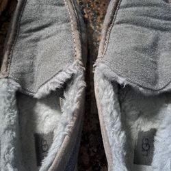 Uggs Shoe