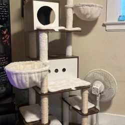 Cat House 