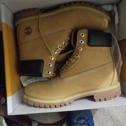 Timberlands 