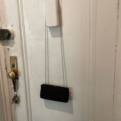 Judith Lieber classic satin evening bag; either on chain or clutch. 