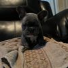 Test Up 