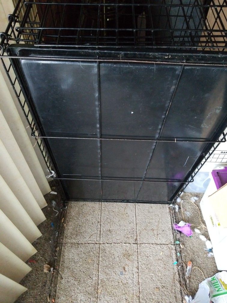 Animal Crate 22 X 24 X 36