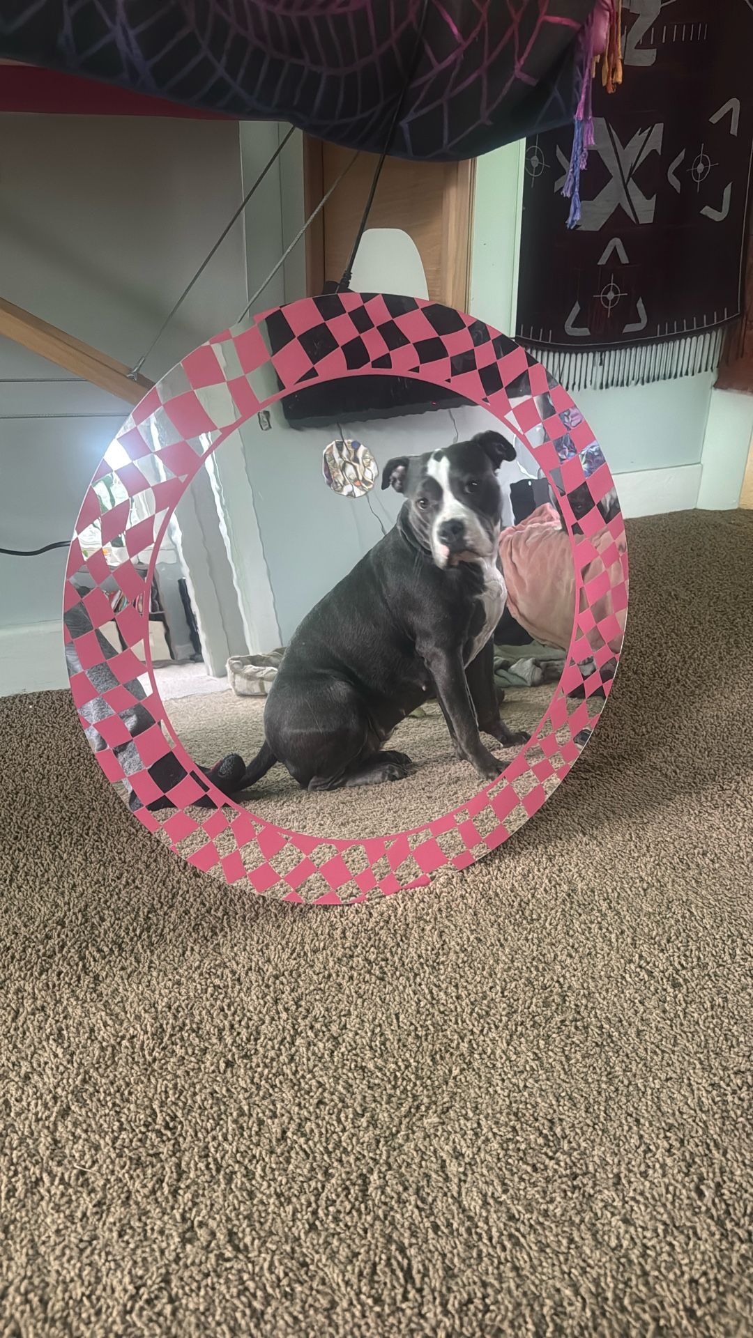 24” Beyond Wonderland Mirror