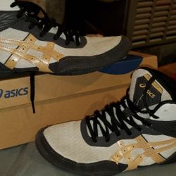 Wrestling Shoes