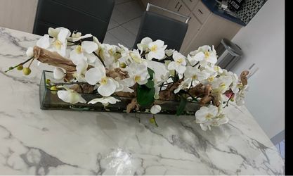 OrchidFloral Arrangements