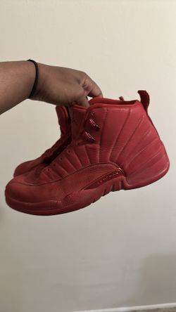 Jordan Retro 12