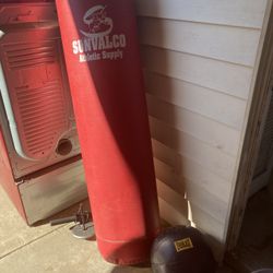 Sunvalco Athletic Supply Sparring Punching Bag And Everlast Weighted Ball