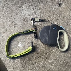 Dog Leash No Collar