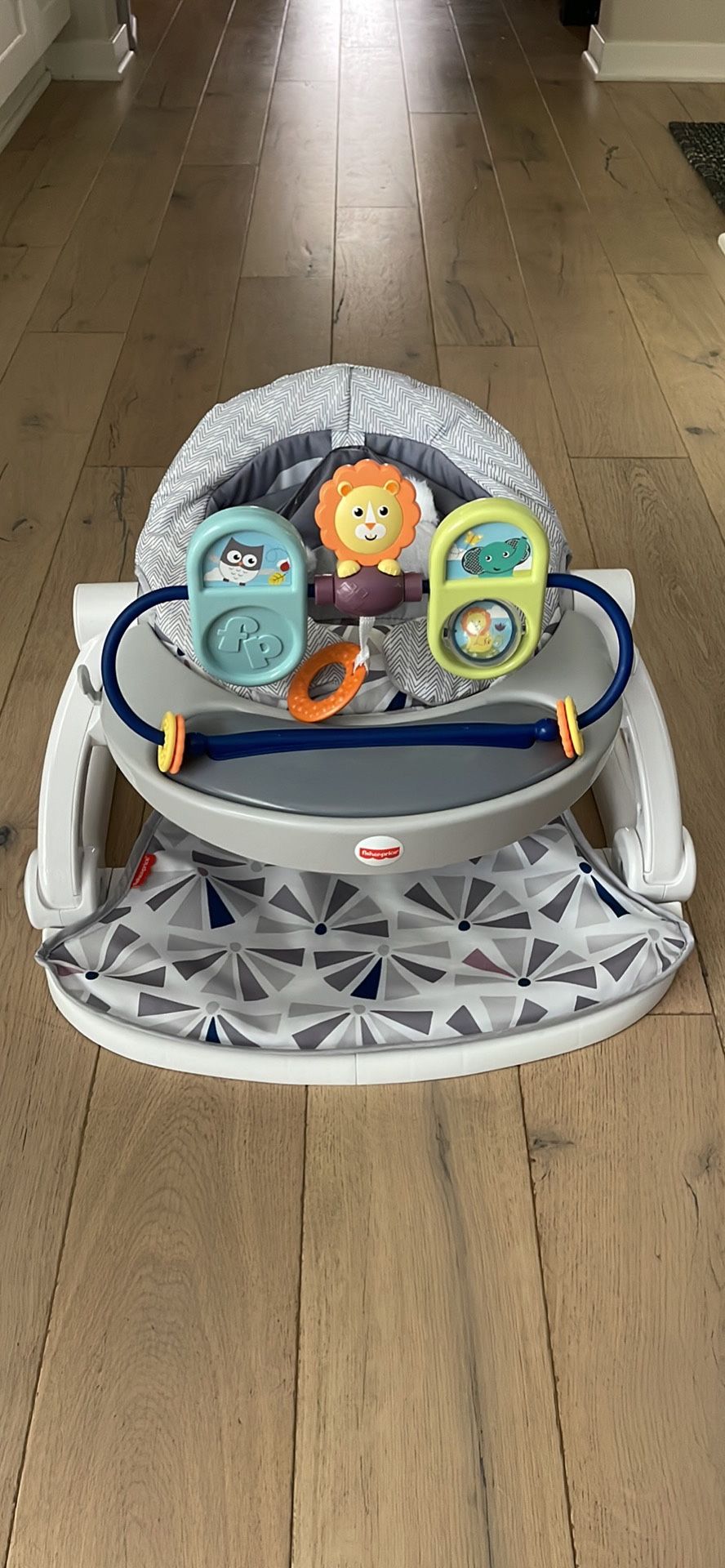 Fisher Price Sit Me Up Owl Theme