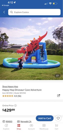 Bouncer house