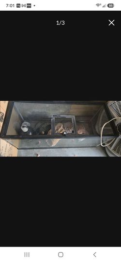 MOVING Terrarium Reptile enclosure lamp & deco complete set.