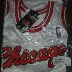 BRAND NEW NIKE FLIGHT 8403 MICHAEL JORDAN JERSEY 