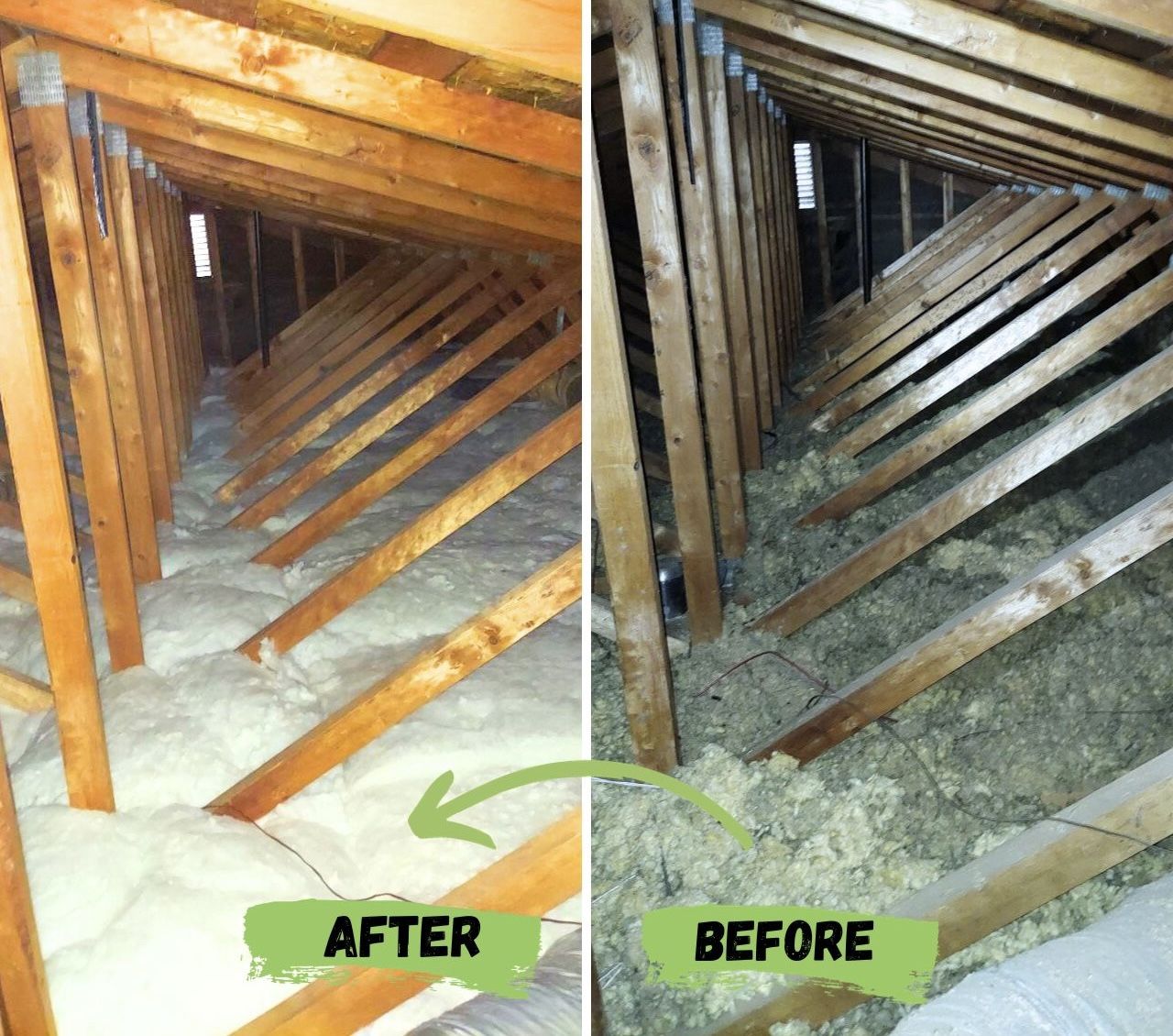 FREE Attic Inspection – Rodent Dropping Cleanup + Pest-Control Insulation