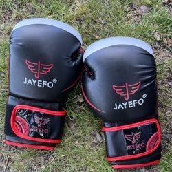 Brand New Boxing Gloves 16oz