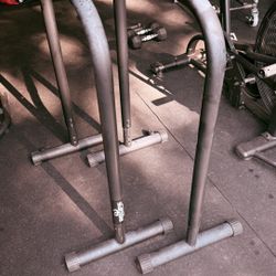 Adjustable Parallel Bars Parallette
