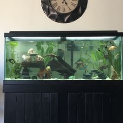 75 gallon Fish Tank, Stand & Light with remote control