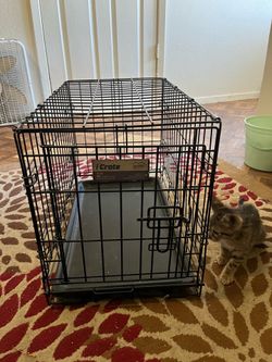 Long medium dog or cat cage