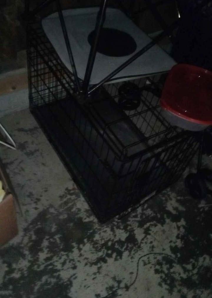Dog Cage 