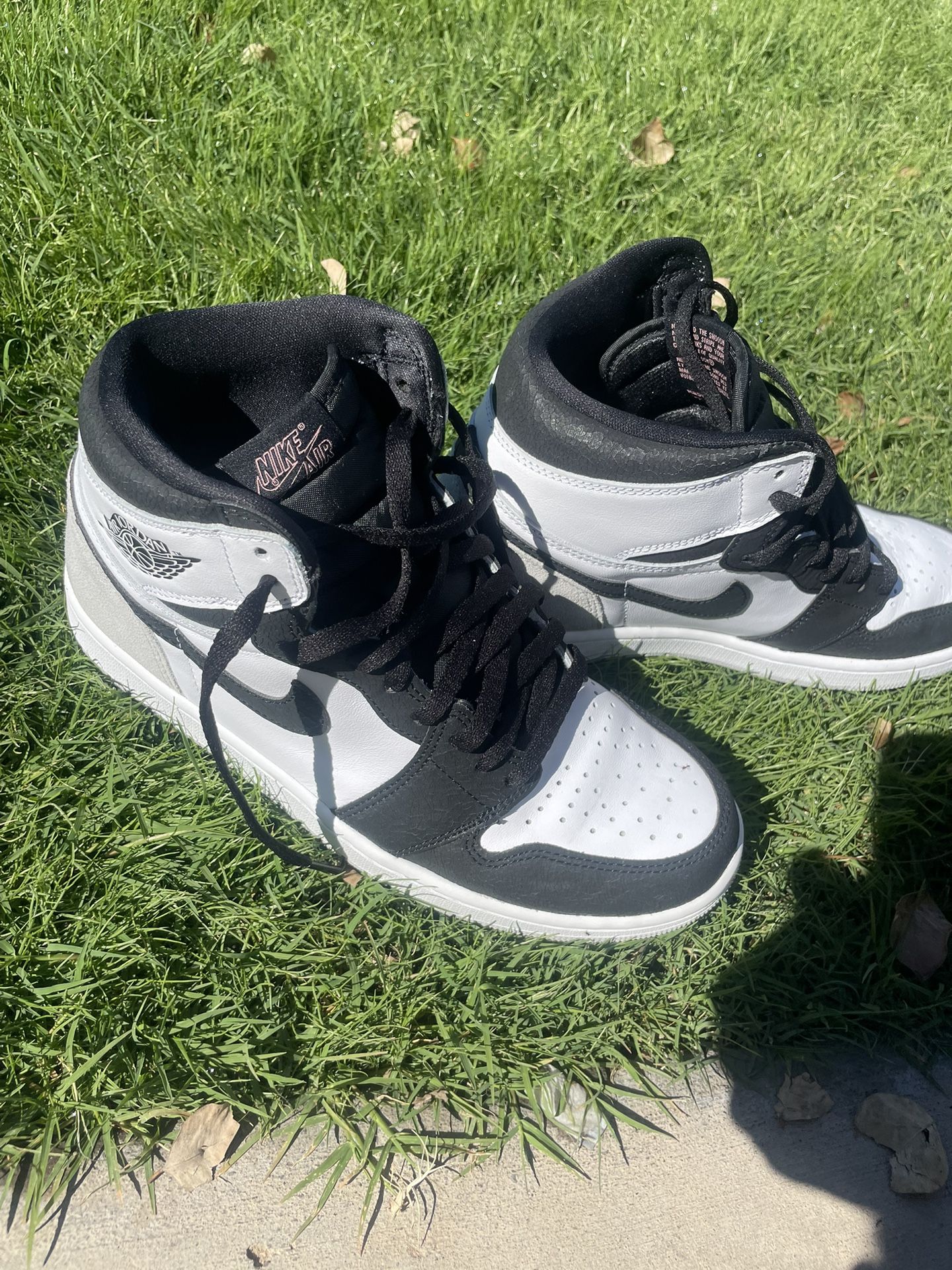 (2022) Air Jordan 1 Retro High OG “Bleached Coral”