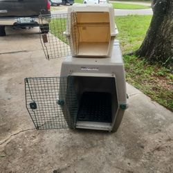 Dog Kennels 