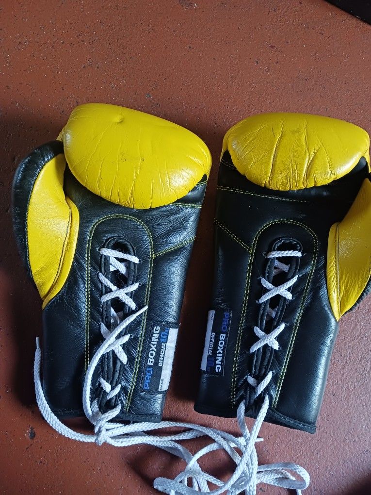 Boxing Professional 