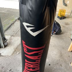 Everlast Heavy Bag