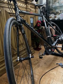 TREK road bicycle