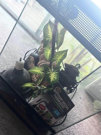 Reptile Aquarium 