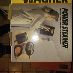 Wagner Power Steamer