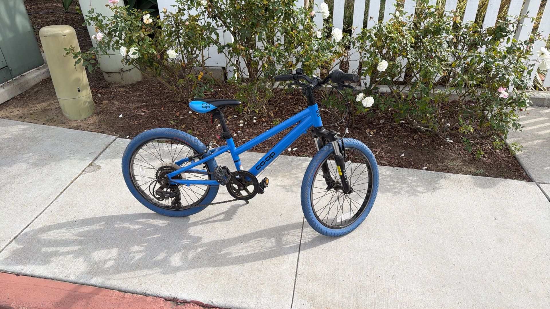 REI kids Bike REV 20