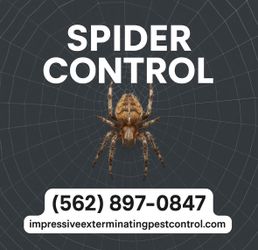 For SPIDER REMOVAL 