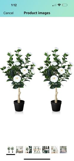 3FT Artificial Camellia Tree