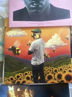 Tyler The Creator “flower Boy” Vinyl